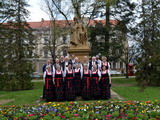 Bild 82